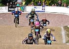 921H7968 bmx-tc-11-9-21